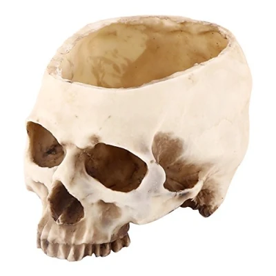 Imagen de Cabeza de Calavera Resina, Resina Artificial, Humana Realista, Modelo Hueso, Moderna con Forma Calavera, Maceta, Contenedor,