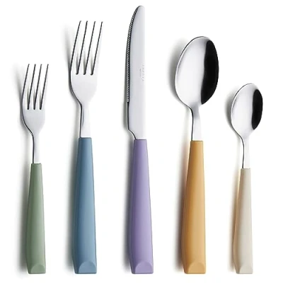 Imagen de ANNOVA 20PCS Flatware Set Stainless Steel Silverware/Cutlery With Colored Handles Comfortable to Hold (20 Pieces, Mixed Morandi)