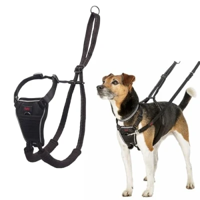Imagen de Arnés Anti tirones HALTI para Evitar Que tu Perro Tire de la Correa, Ajustable, Ligero y Fácil Usar. Reflexiva Adiestramiento canino Perros pequeños (Talla XS)