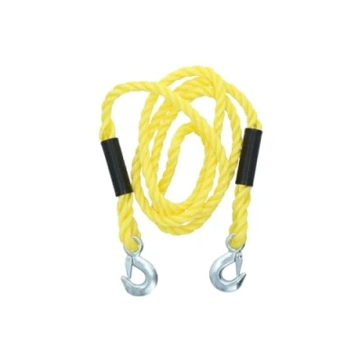 Imagen de CARPOINT 0178703 Eslinga para remolque 3 5000 con gancho