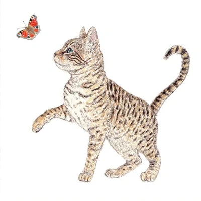 Imagen de 20 servilletas de gato con mariposa Animales Decoración mesa 33 x cm