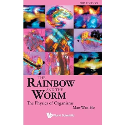 Imagen de the rainbow and worm hardcover