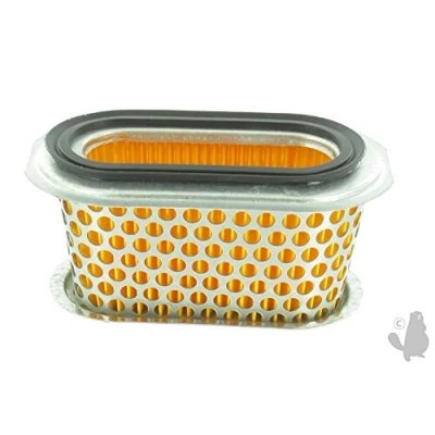 Imagen de Greenstar 5566 Filtro de aire para Honda GX160/F660 (123 x 70 60 mm)