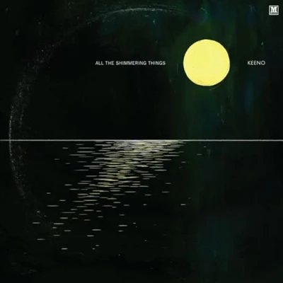 Imagen de All The Shimmering Things Single Vinilo