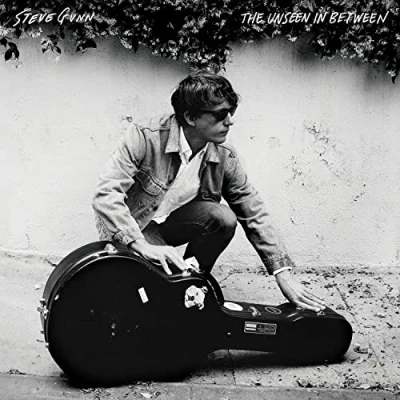 Imagen de The Unseen In Between [Vinilo]