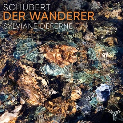 Imagen de Der Wanderer (Klavierwerke)