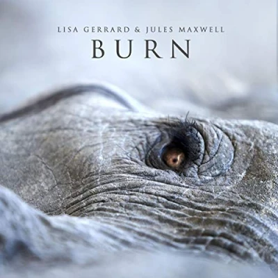 Imagen de Burn [Vinilo]
