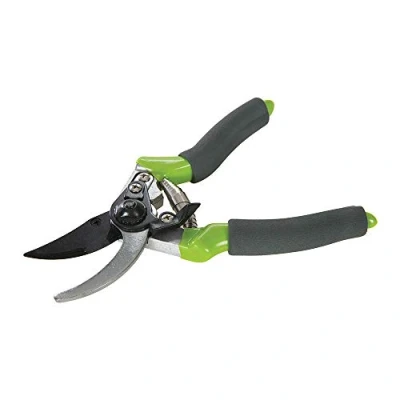 Imagen de Silverline Tools GT101 Tijera de poda (220 mm)