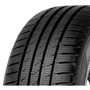 Imagen de Fortuna Gowin VAN 205/65 R16 107/105R coche de turismo Neumáticos invierno FP039571