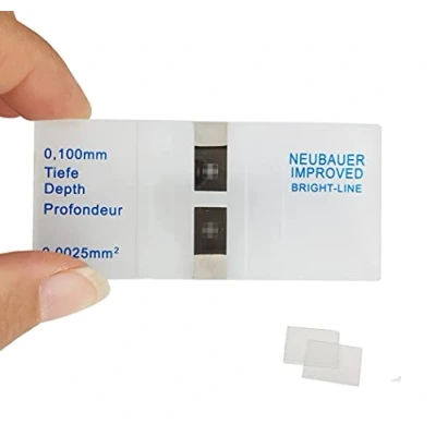 Imagen de MUHWA Hemocitómetro Neubauer Cámara de conteo células con línea brillante 2 piezas Coverslips