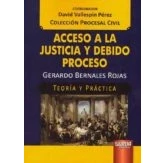 Imagen de ACCESO A LA JUSTICIA Y DEBIDO PROCESO