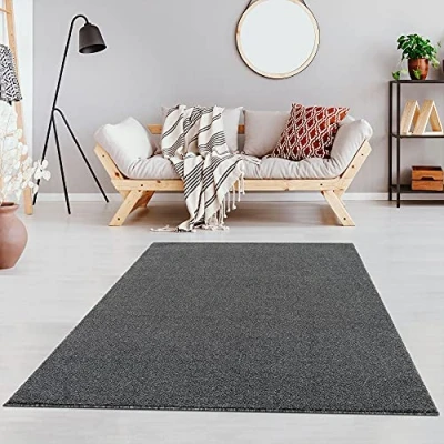 Imagen de Fashion4Home Alfombra de Pelo Corto Liso para salón, habitación los niños, Dormitorio, Estudio, Oficina, Pasillo y Cocina, Color Gris, tamaño: 200 x 290 cm