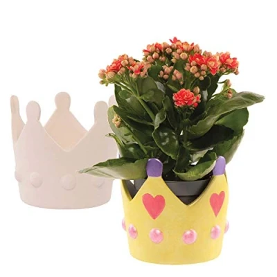 Imagen de Baker Ross FE296 Macetas de cerámica Corona Princesa Caja 2, proyectos arte y manualidades creativos que se pueden pintar para los niños hagan, personalicen decoren