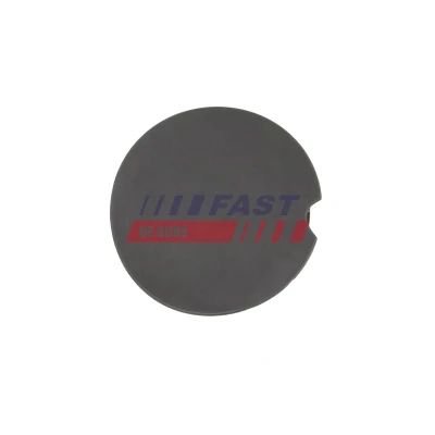 Imagen de FAST FT04233 Bisagra, tapa depósito
