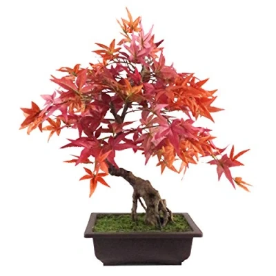 Imagen de Leaf Hoja 50cm Artificial Árbol, Bonsái de Arce Rojo, 60 cm