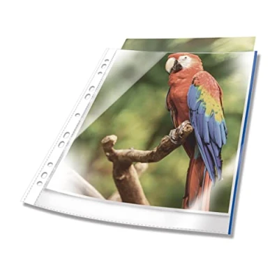 Imagen de Durable 265406 Fundas multitaladro perforadas PREMIUM con borde de color A4 cristal, PP, bolsa 10, azul