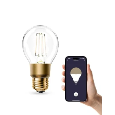 Imagen de Refoss Bombilla WiFi E27, LED Vintage Regulable, Luz Blanca Cálida, 6W (Equivalente a 60W), Edison Inteligente A19, Compatible con Alexa y Google Assistant, 1 Pieza
