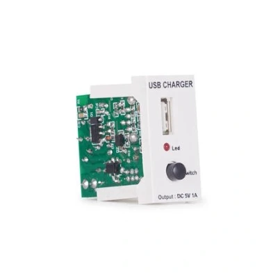 Imagen de Modulo Cargador Usb Para Cajas De Conexion Fonestar Wp 31uc 1/2xpanel