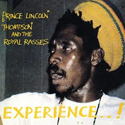Imagen de Experience Vinilo