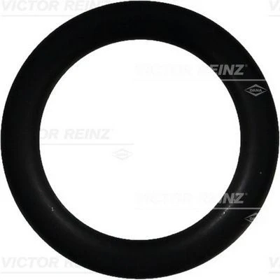 Imagen de Anillo obturador REINZ 40 76391 00