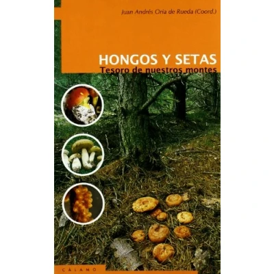 Imagen de Hongos Y Setas: Tesoro de nuestros montes (GUIAS)
