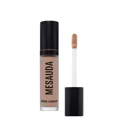 Imagen de Mesauda Milano Pro Light Concealer 21 ml g