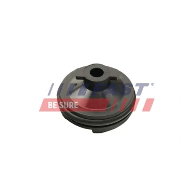 Imagen de FAST FT49501 Tapon de Cárter con junta anular FORD: KUGA 2, FOCUS 3, C Max PEUGEOT: 508 I SW, 308 II Hatchback, Berlina, CITROËN: C5 3