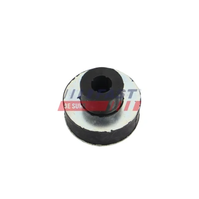 Imagen de FAST FT55809 Soporte, radiador delante