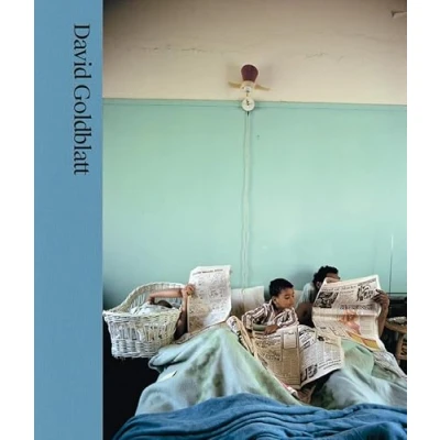 Imagen de DAVID GOLDBLATT: sin segundas intenciones (CATALOGO DE EXPOSICION)