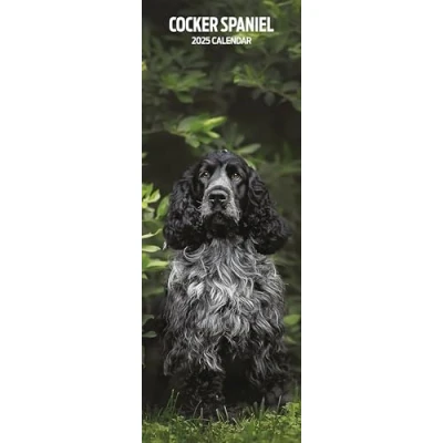 Imagen de Cocker Spaniel 2025 Calendario delgado