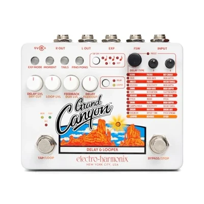 Imagen de Electro Harmonix Grand Canyon Delay &amp; Looper, SG_B07KWGH69H_US