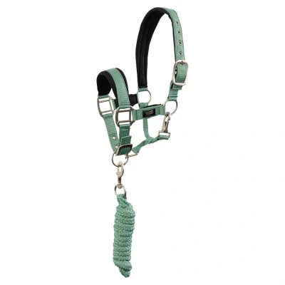 Imagen de BR Mini Horse halter with rope
