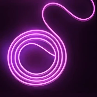 Imagen de EXTRASTAR Tira de Luz LED Neón, Purpura, 12V, Cable 5M, 120 LED, Impermeable IP65, 8.5W/M, no Regulable, para Jardín, Exterior, Festival, Fiesta, Adaptador incluido