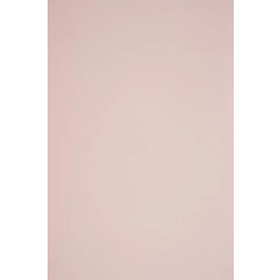 Imagen de Netuno 50x papel colorado Color rosa pálido DIN A4 210x297mm 115g Sirio Nude ideal para impresora embalajes regalos tarjetas invitaciones scrapbooking manualidades folletos boda bautizo Navidad
