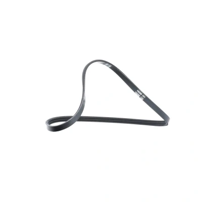 Imagen de DAYCO 3PK740 Correa trapecial poli V 740,0 3 RENAULT: CLIO 2, Kangoo I, I Express, DACIA: Sandero Logan Berlina