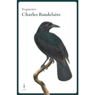 Imagen de Fragments Charles Baudelaire (FRAGMENTS FLÂNEUR)
