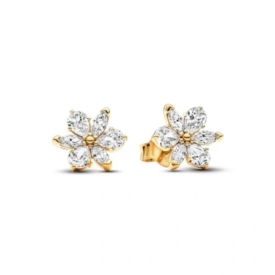 Imagen de Pandora Timeless Mujeres Pendientes Baño de oro 14 quilates 262633C01