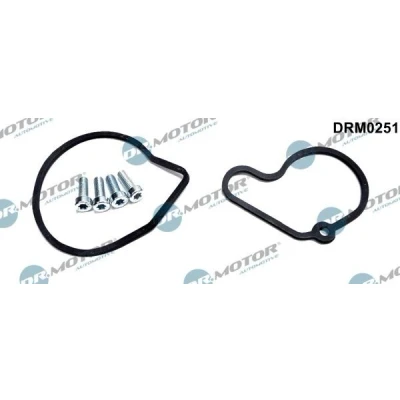 Imagen de DR.MOTOR AUTOMOTIVE DRM0251 Kit reparación bomba tándem SEAT: Leon I Hatchback, Ibiza 3, Toledo 2 Limousine, VOLKSWAGEN: Golf 4, 4 Variant