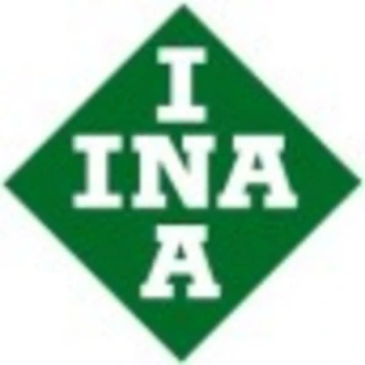 Imagen de INA 428 0124 10 Árbol de Levas RENAULT: Kangoo I, I Express