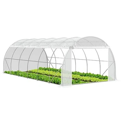 Imagen de VOUNOT Invernaderos Jardín, Tunel Invernadero Huerto para Plantas con Paredes Laterales Enrollables, Cubierta PE y Ubo de Acero, Impermeable, 6 x 3 2 m, Blanco