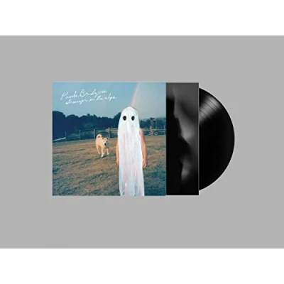 Imagen de Stranger In The Alps [Vinilo]