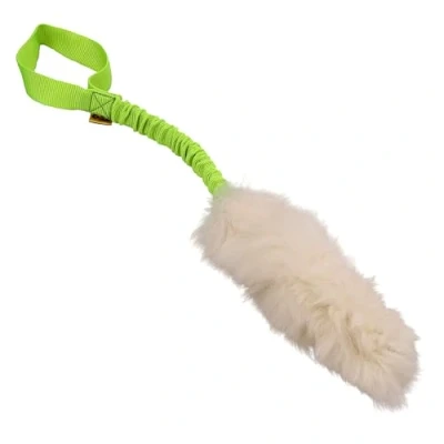 Imagen de DINGO Juguete para perros Piel de oveja con elástico verde, tira recompensa motivación agilidad entrenamiento y diversión 15581