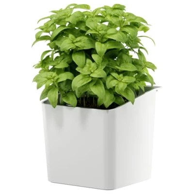 Imagen de tesa Accesorios de Cocina, Maceta para Hierbas Macetero Colgante y Autoadhesivo Plantas Aromáticas Frescas con Adaptador, Montaje en Pared sin Taladrar Blanco