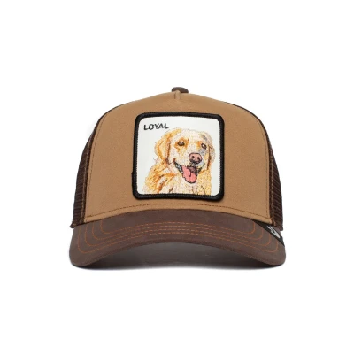 Imagen de Goorin Bros The Loyal Dog Brown A Frame Adjustable Trucker Cap One Size