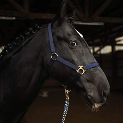 Imagen de Cabestro para Caballo de Sangre Caliente, Completa, fría establo Pasto (Azul Oscuro, Pura (COB))