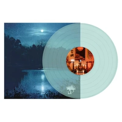 Imagen de Planes Mistaken For Stars [Vinilo]