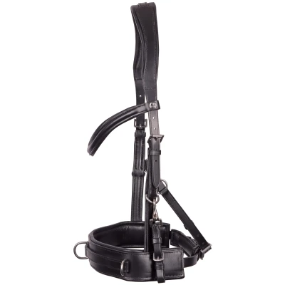 Imagen de Harry&#039;s Horse Cabezada Cavesson Cuero Confort Cob Negro