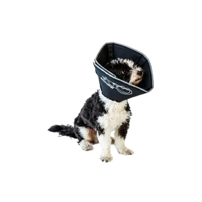 Imagen de James and Steel All Four Paws Collarín de recuperación para Mascotas The Comfy Cone