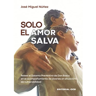 Imagen de Solo el amor salva: Releer Sistema Preventivo de Don Bosco en acompañamiento jóvenes situación vulnerabilidad: 89