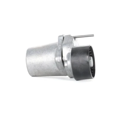 Imagen de INA 534 0320 10 Brazo tensor, correa trapecial poli V BMW: 1 Cabrio, 3 X5 norauto, oscaro, mister auto